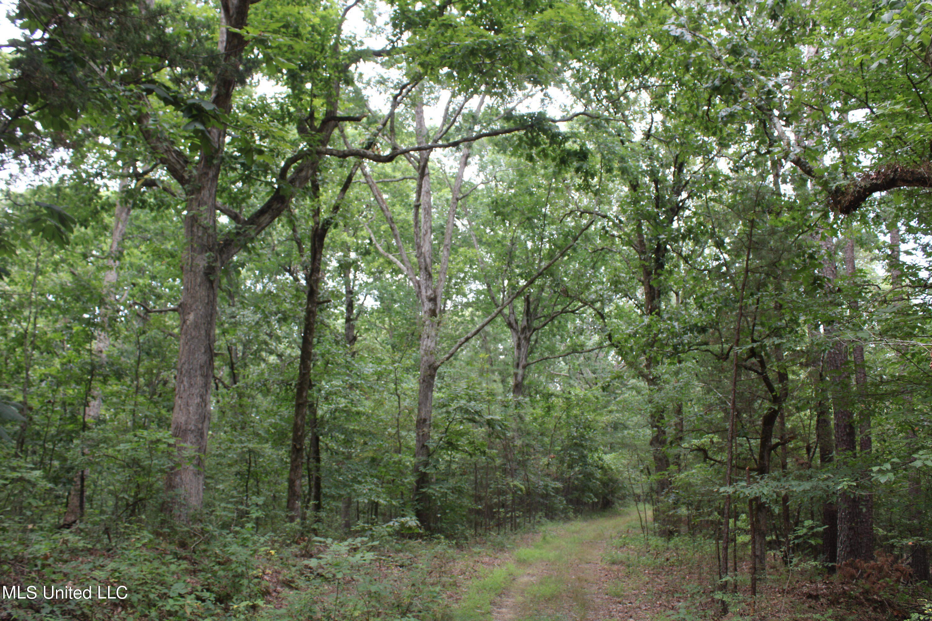 449 Emmitt Meeks Road Waterford, MS 38685 - Photo 47 of 54 IMG_2002