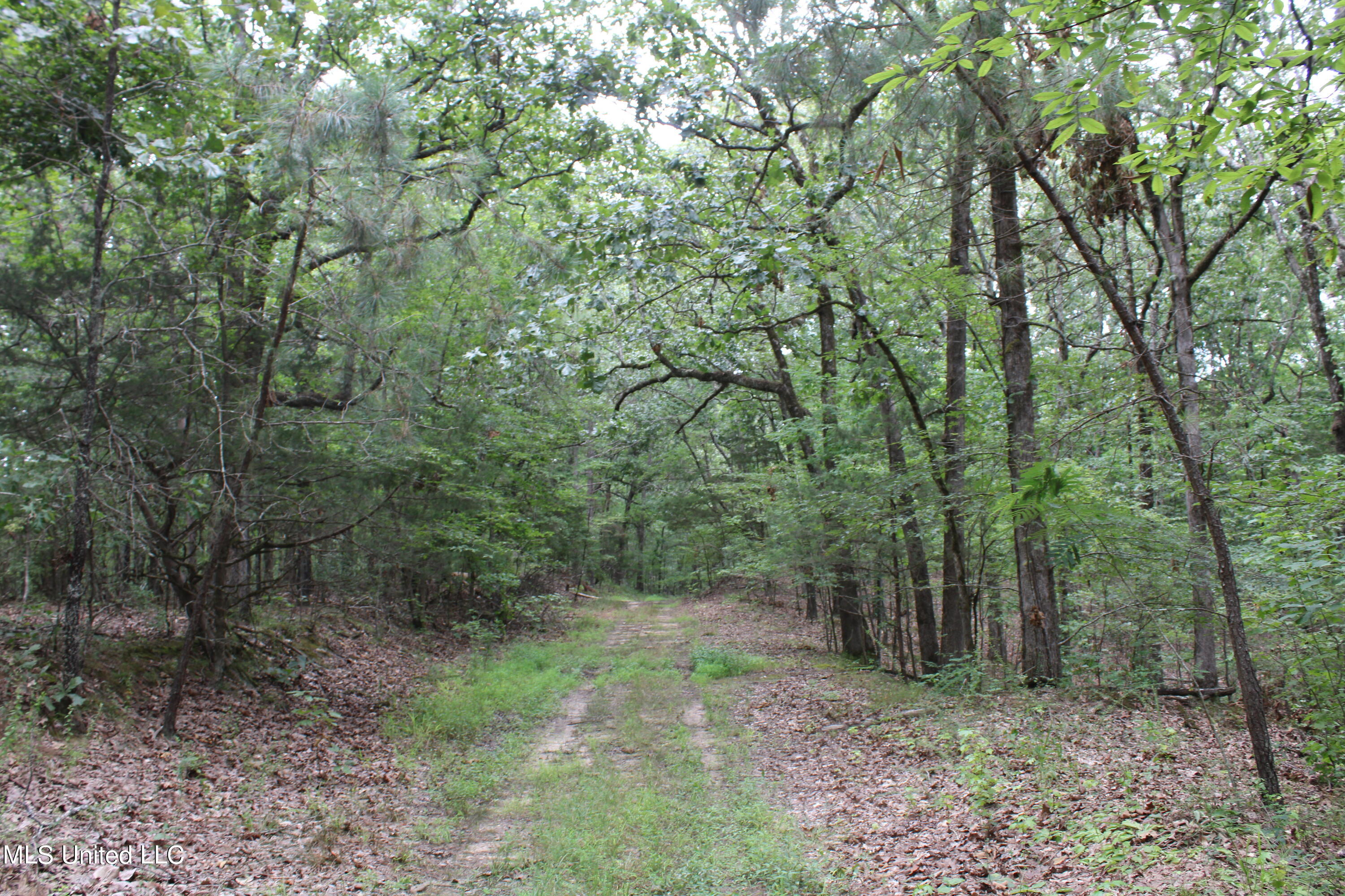 449 Emmitt Meeks Road Waterford, MS 38685 - Photo 49 of 54 IMG_2004