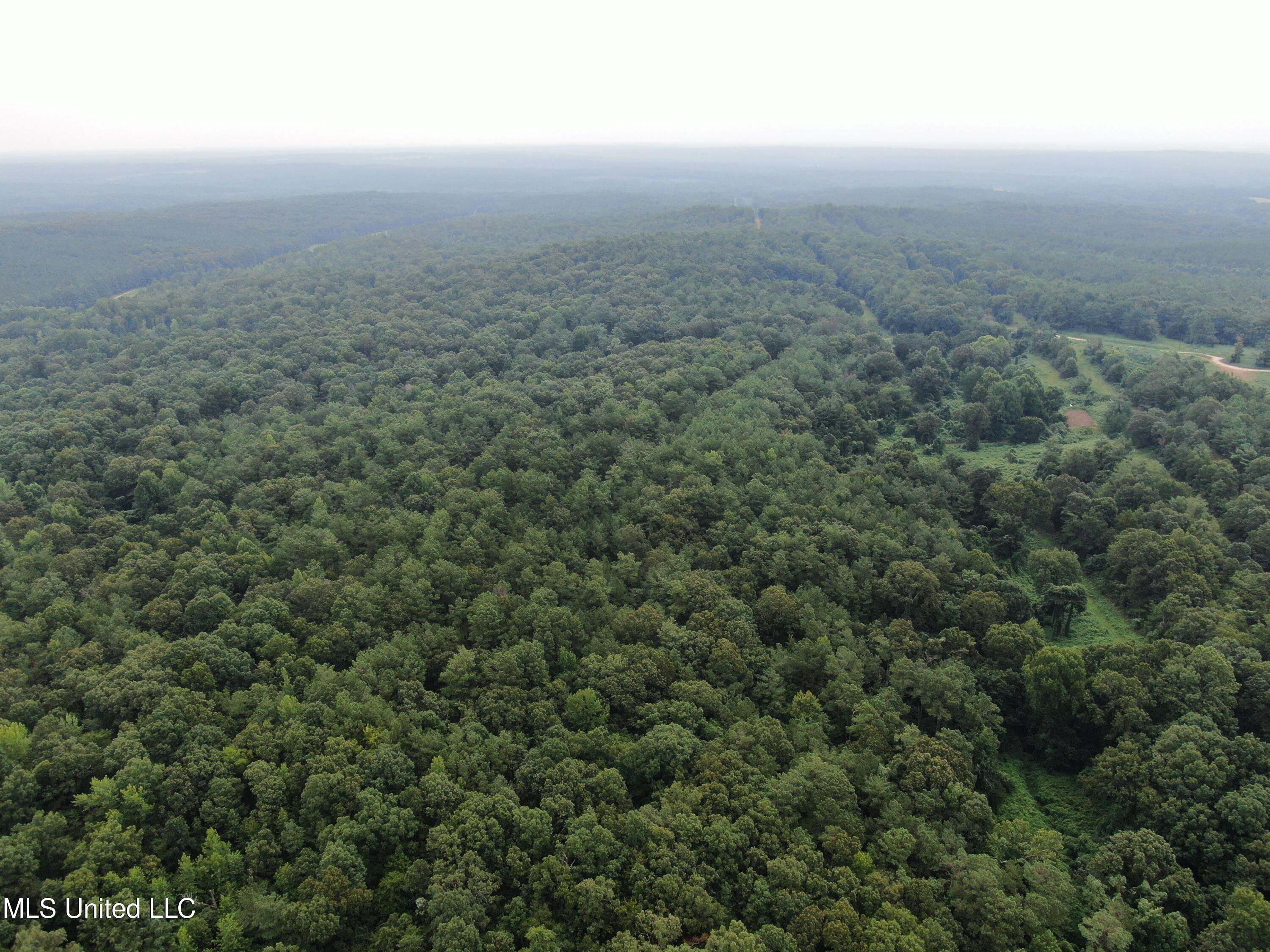 449 Emmitt Meeks Road Waterford, MS 38685 - Photo 5 of 54 DJI_0960