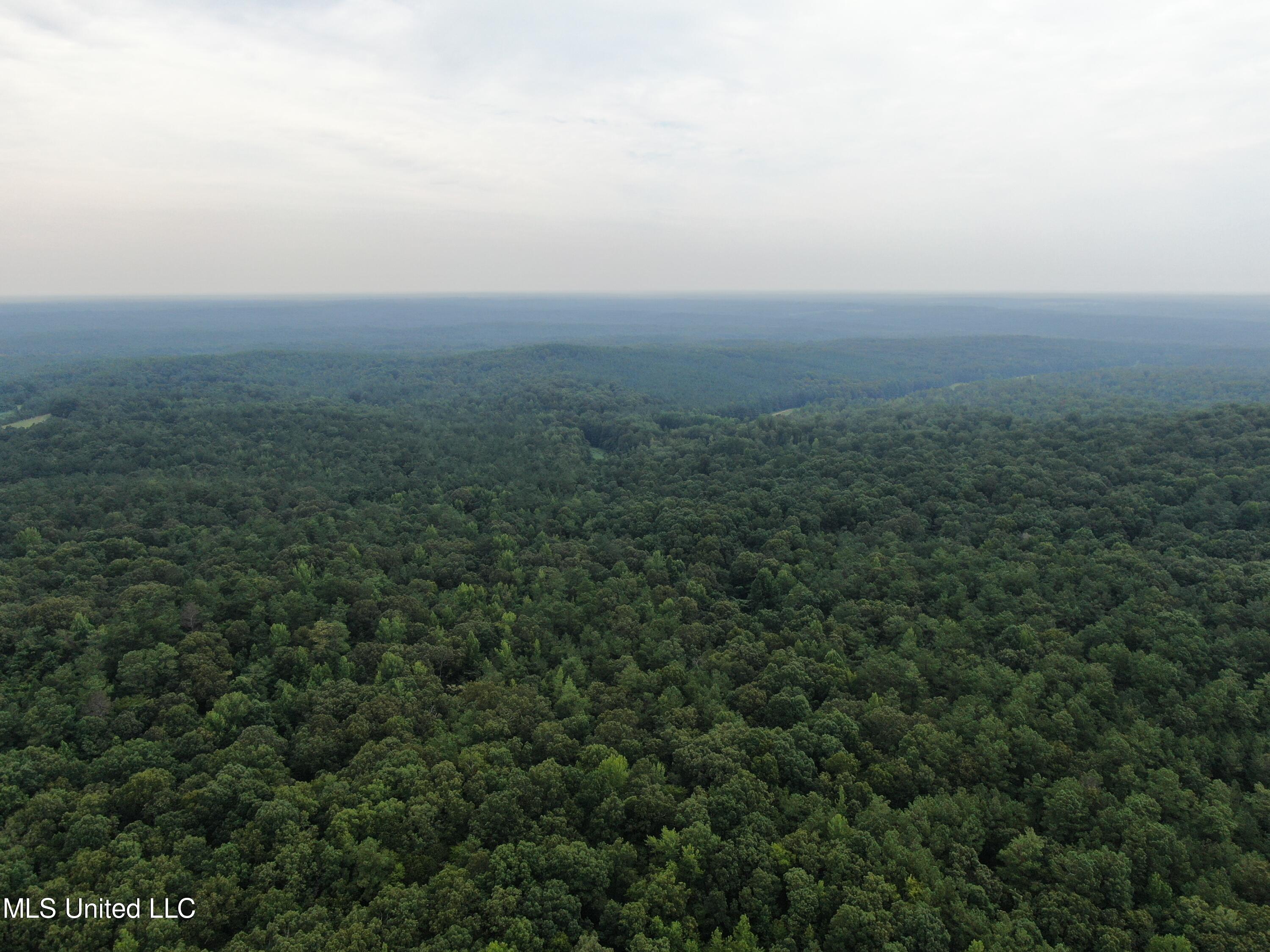 449 Emmitt Meeks Road Waterford, MS 38685 - Photo 6 of 54 DJI_0961