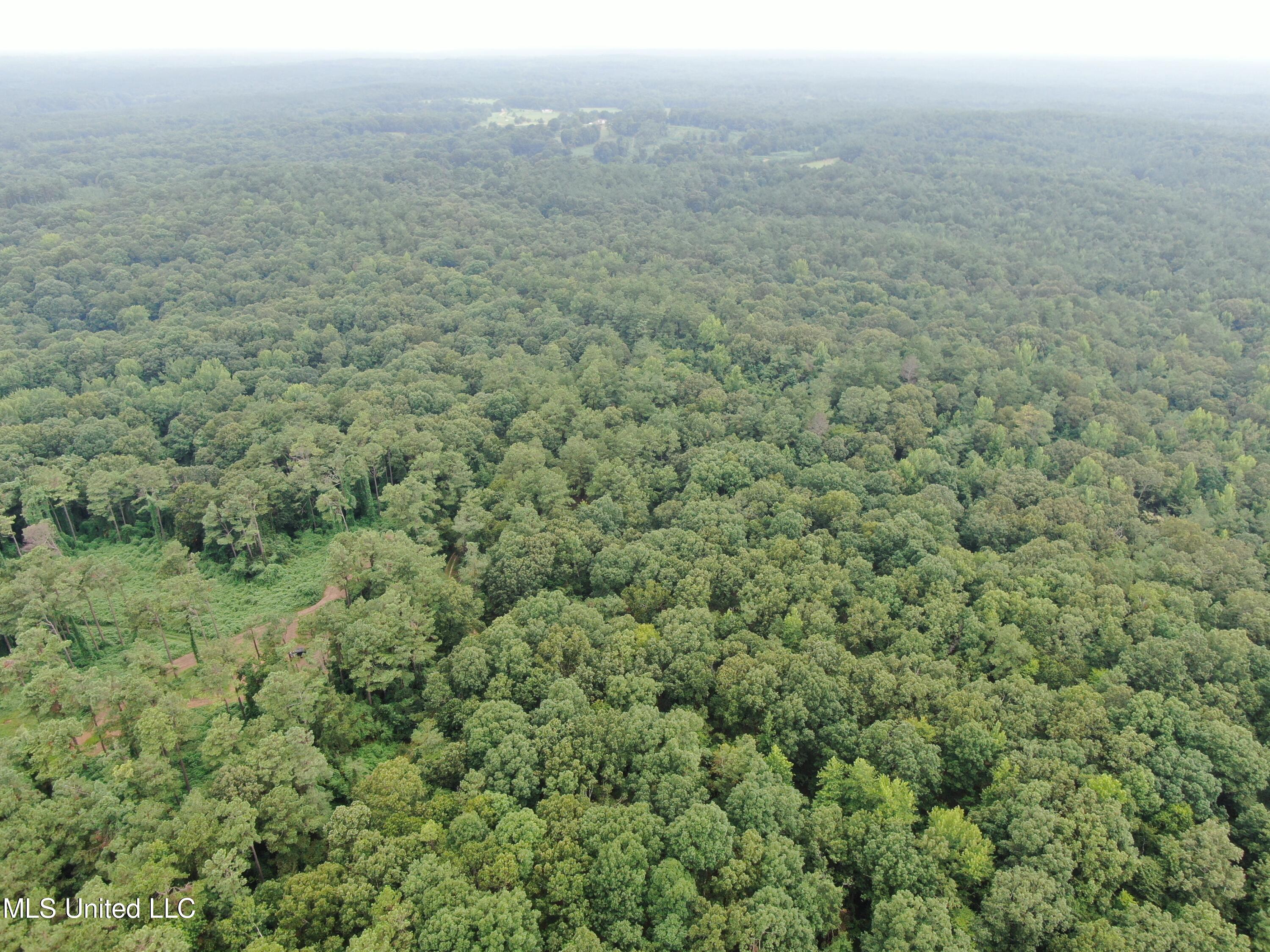 449 Emmitt Meeks Road Waterford, MS 38685 - Photo 7 of 54 DJI_0962