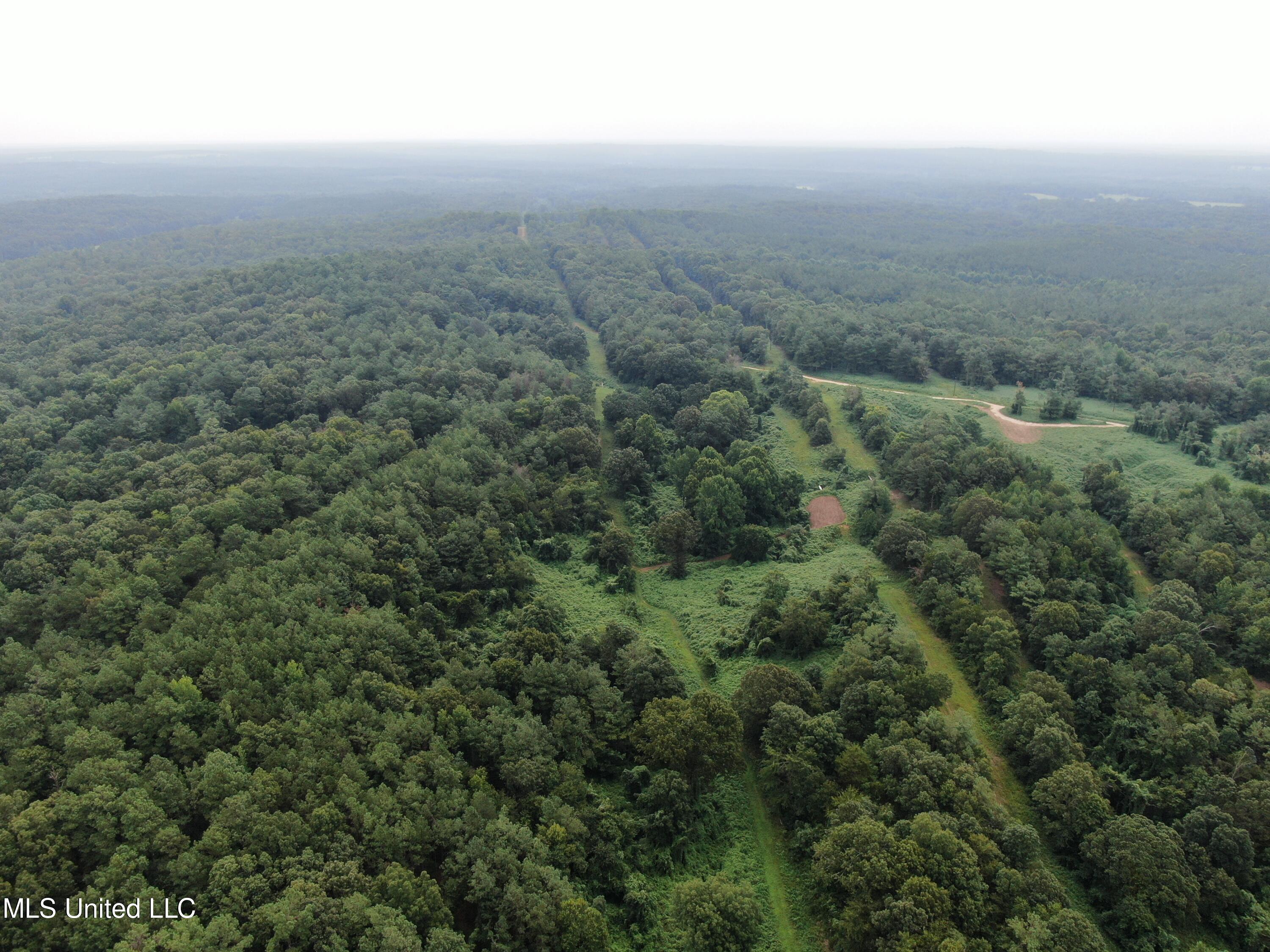 449 Emmitt Meeks Road Waterford, MS 38685 - Photo 8 of 54 DJI_0963
