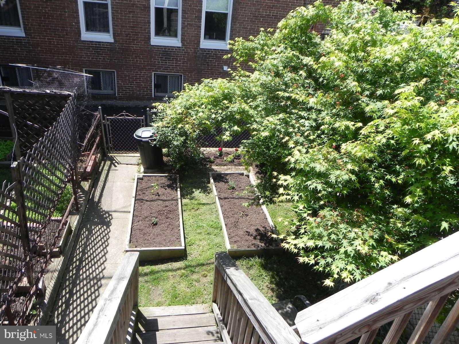4138 Falls Road Baltimore, MD 21211 - Photo 27 of 29 Exterior Yard