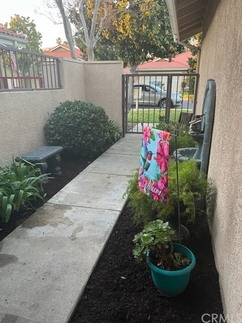 a view of a backyard with potted plants