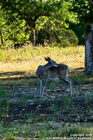 $309,900 | 1301 Farm To Market Road 480, Kerrville, TX 78028