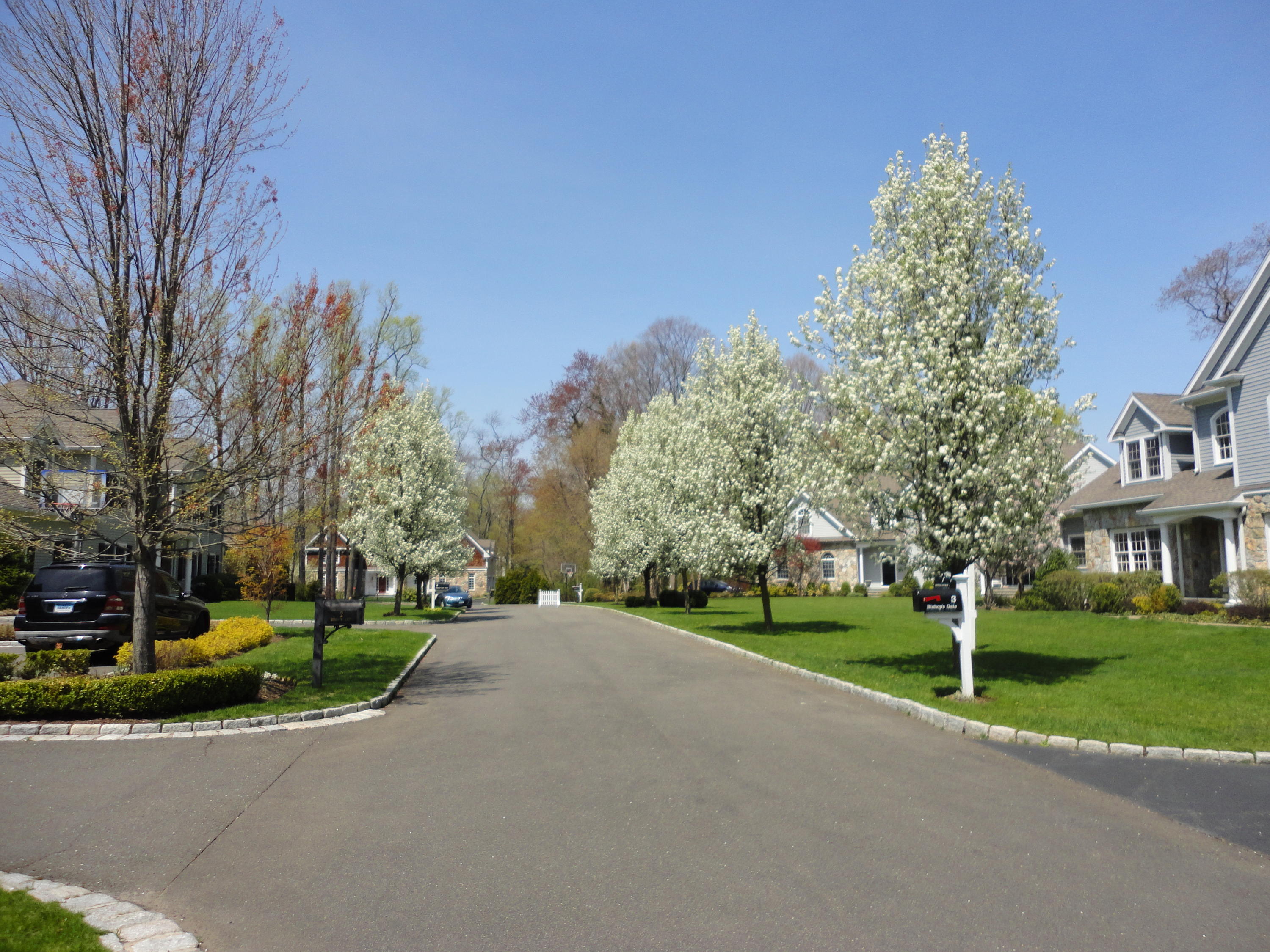 3 Bishops Gate Road Darien, CT 06820 - Photo 7 of 61 a view of a house with a yard and large trees