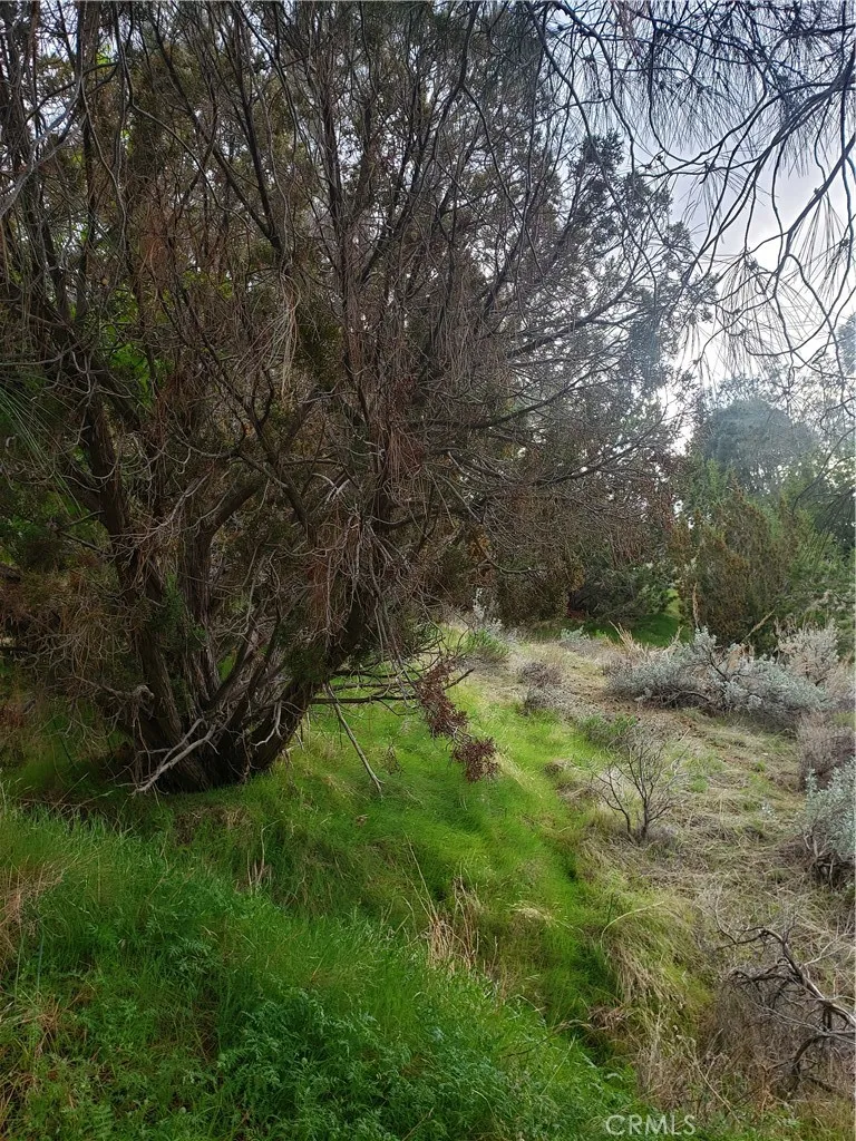 0 Brick Bodfish, CA 93205 - Photo 20 of 45