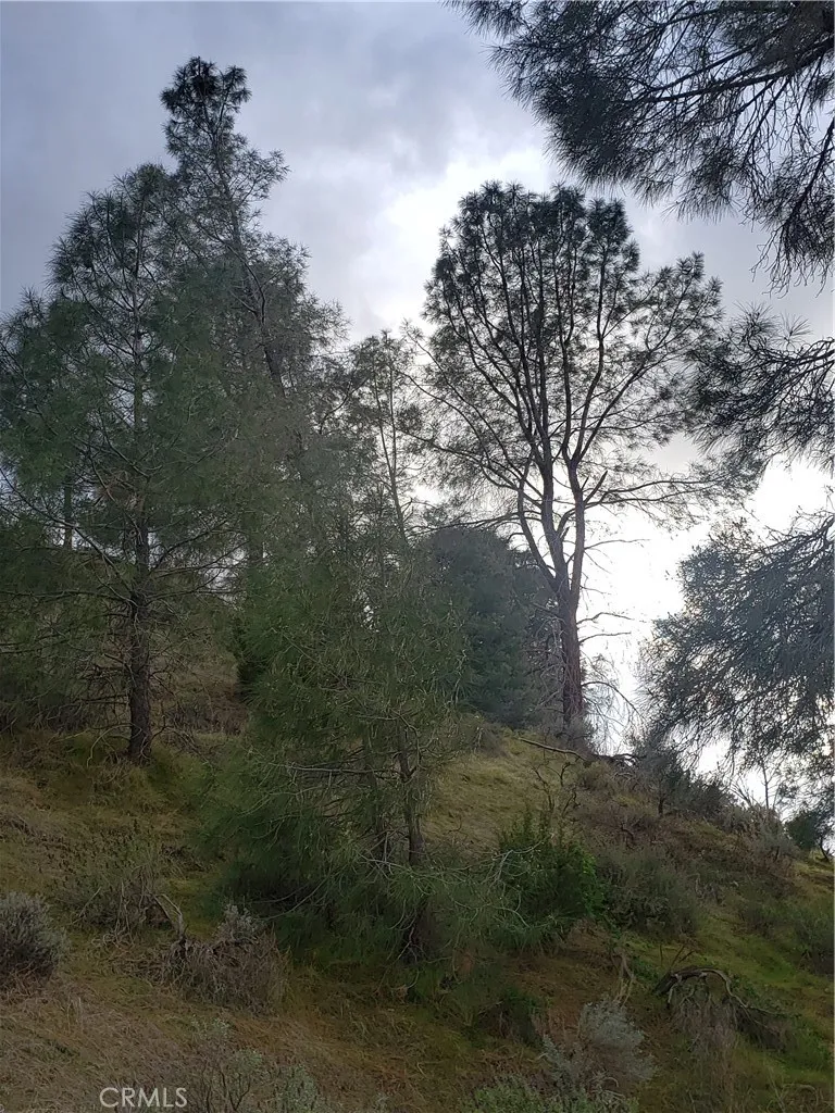 0 Brick Bodfish, CA 93205 - Photo 21 of 45 a view of a field of the house