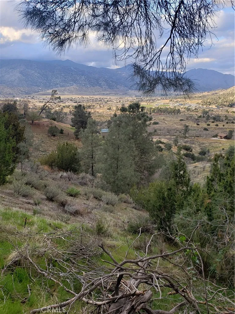 0 Brick Bodfish, CA 93205 - Photo 24 of 45 a view of a yard with an trees