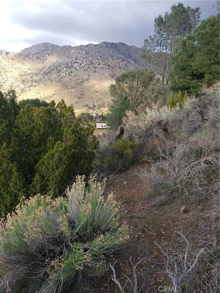 0 Brick Bodfish, CA 93205 - Photo 29 of 45 a view of a dry yard with mountains in the background