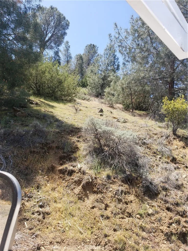 0 Brick Bodfish, CA 93205 - Photo 38 of 45 a view of a yard with a tree