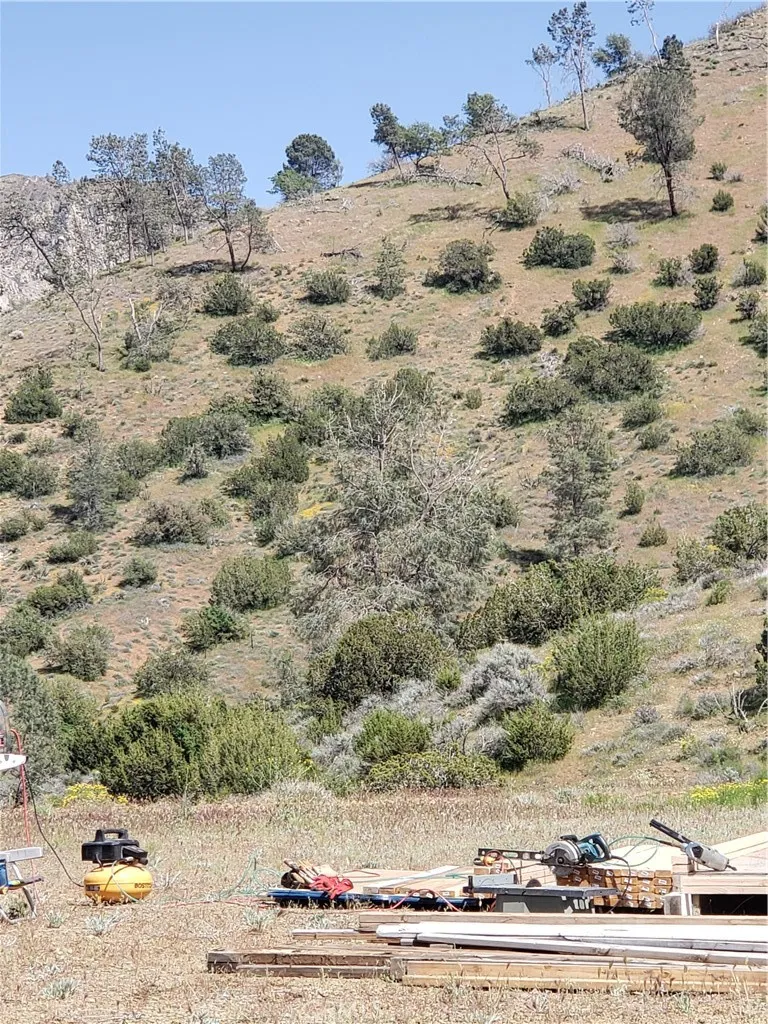0 Brick Bodfish, CA 93205 - Photo 43 of 45 a view of a dry yard with wooden fence
