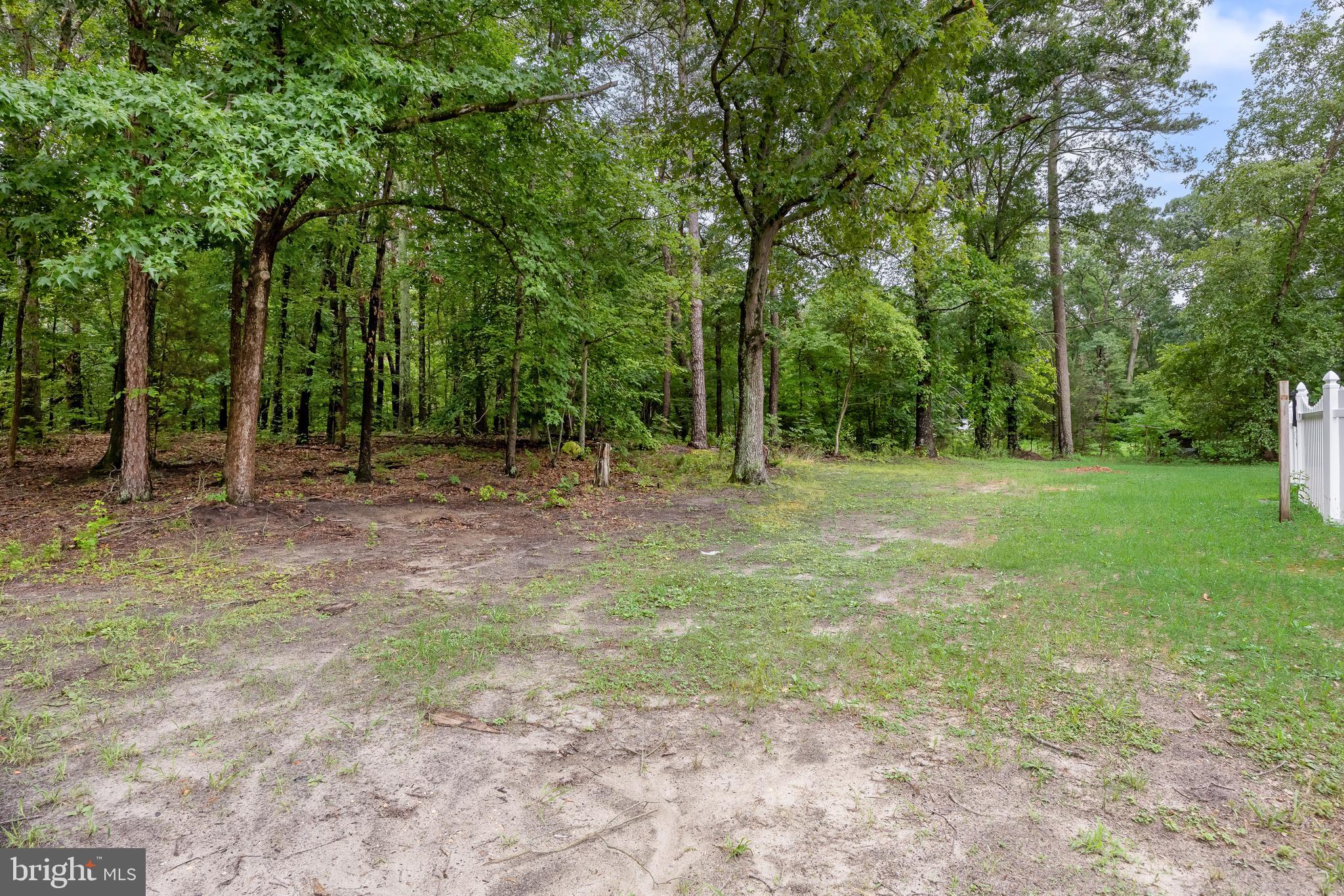 319 Birmingham Road Pemberton, NJ 08068 - Photo 25 of 34 Backyard View