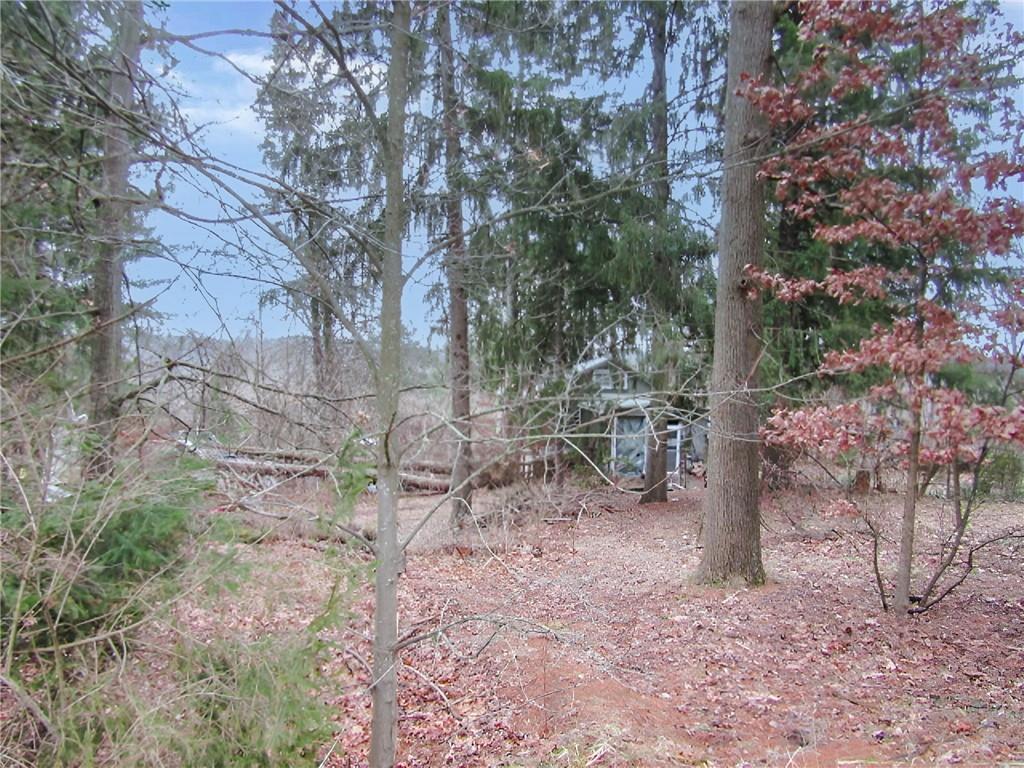 1401 South Elm Street Monaca, PA 15061 - Photo 2 of 26 a backyard of a house with lots of green space