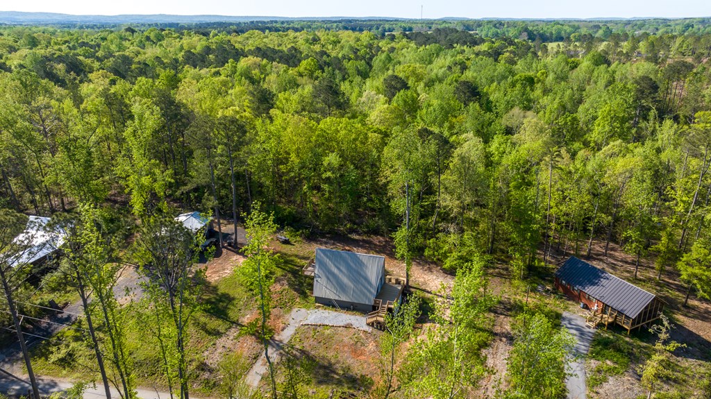 9 Cherokee Resort Road Pine Mountain, GA 31822 - Photo 24 of 37