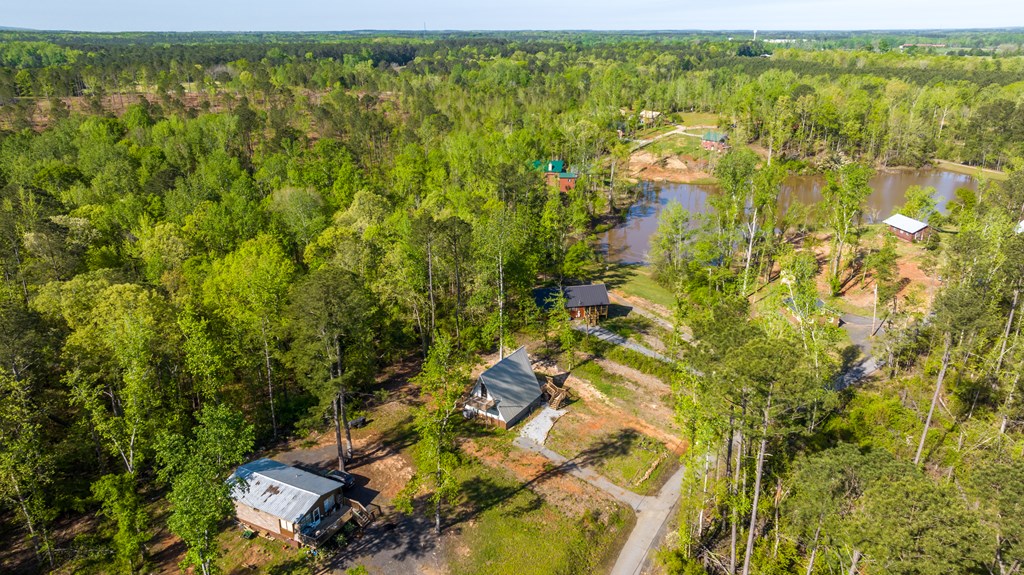 9 Cherokee Resort Road Pine Mountain, GA 31822 - Photo 26 of 37