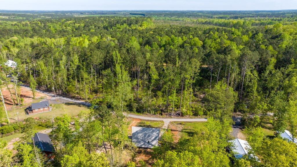 9 Cherokee Resort Road Pine Mountain, GA 31822 - Photo 29 of 37