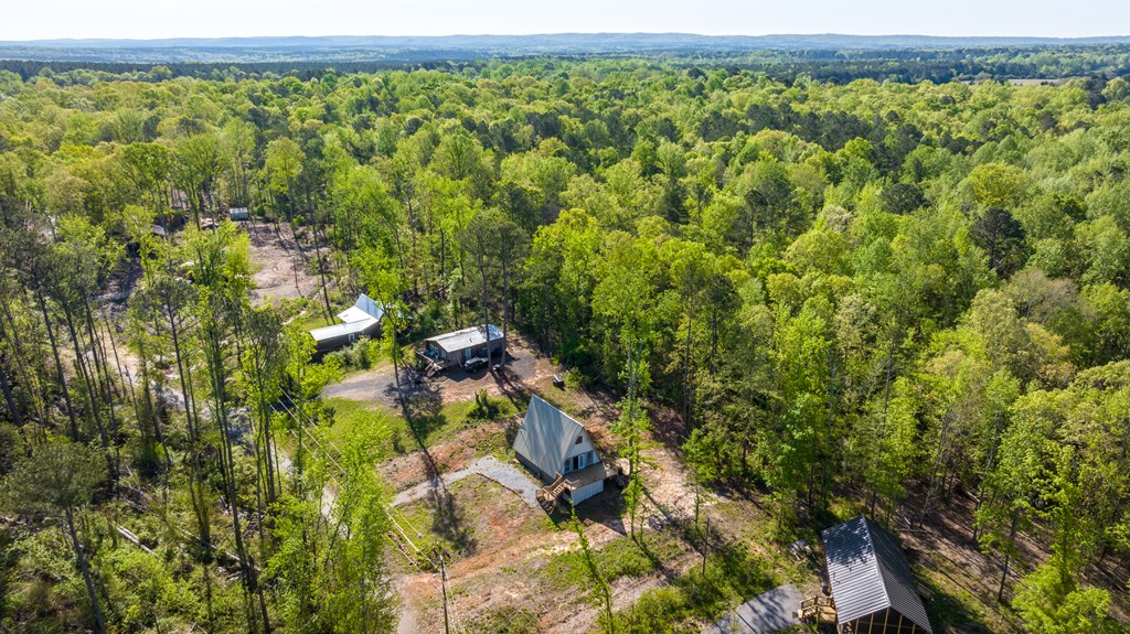 9 Cherokee Resort Road Pine Mountain, GA 31822 - Photo 31 of 37