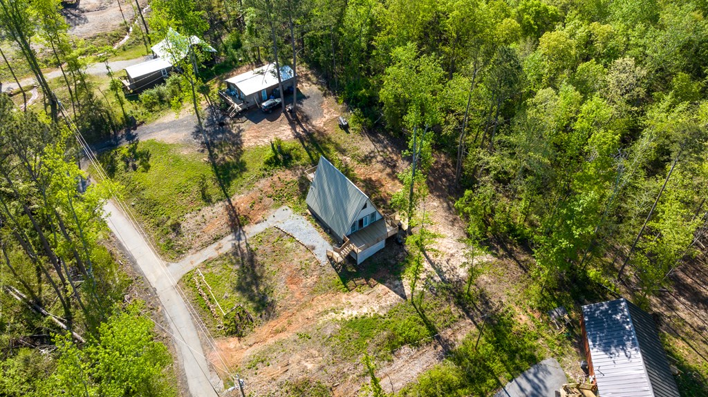 9 Cherokee Resort Road Pine Mountain, GA 31822 - Photo 32 of 37