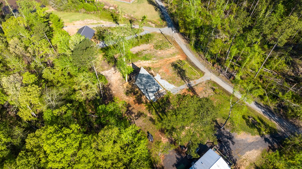 9 Cherokee Resort Road Pine Mountain, GA 31822 - Photo 34 of 37