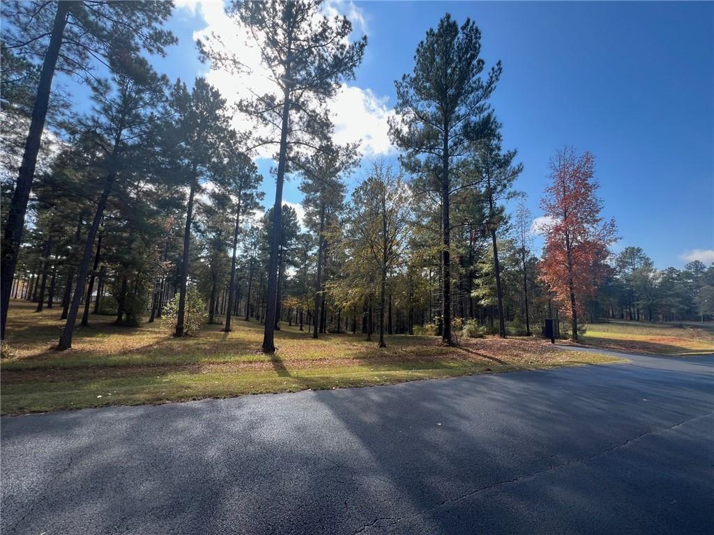 117 Overlook Drive Eatonton, GA 31024 - Photo 12 of 30 a ground with lots of trees and plants
