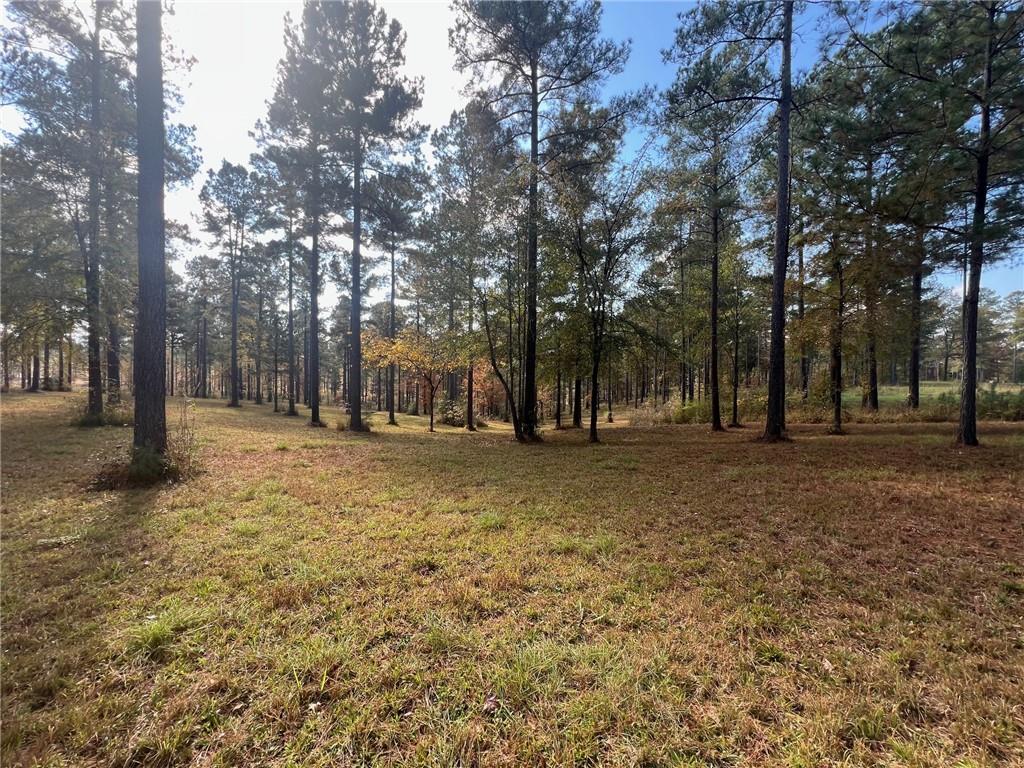 117 Overlook Drive Eatonton, GA 31024 - Photo 14 of 30 a view of road with trees