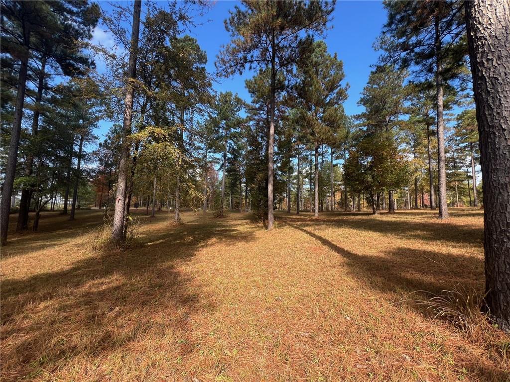 117 Overlook Drive Eatonton, GA 31024 - Photo 15 of 30 a view of road with trees