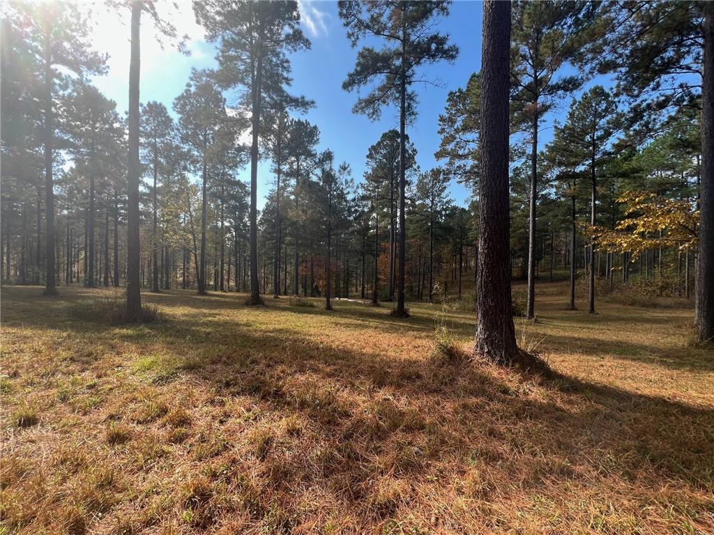 117 Overlook Drive Eatonton, GA 31024 - Photo 16 of 30 a view of backyard with tree