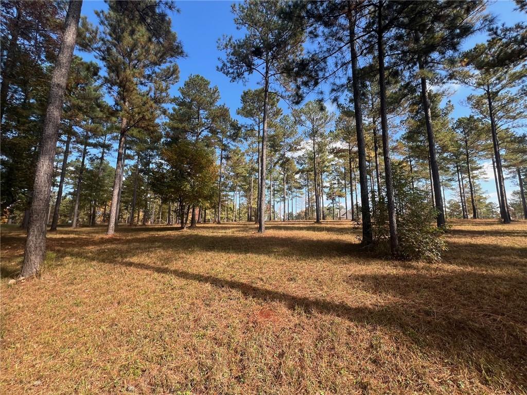 117 Overlook Drive Eatonton, GA 31024 - Photo 17 of 30 a view of a yard with trees