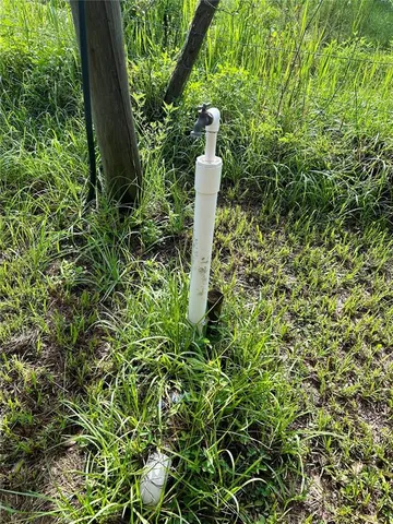 a close up of a plant in a garden