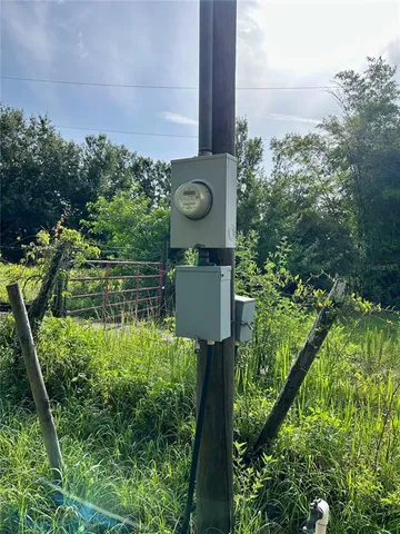 a backyard of a house with lots of green space and plants