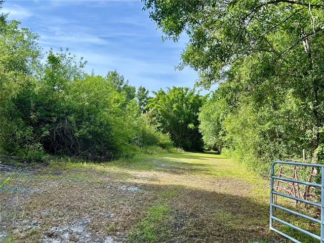 a view of outdoor space and yard