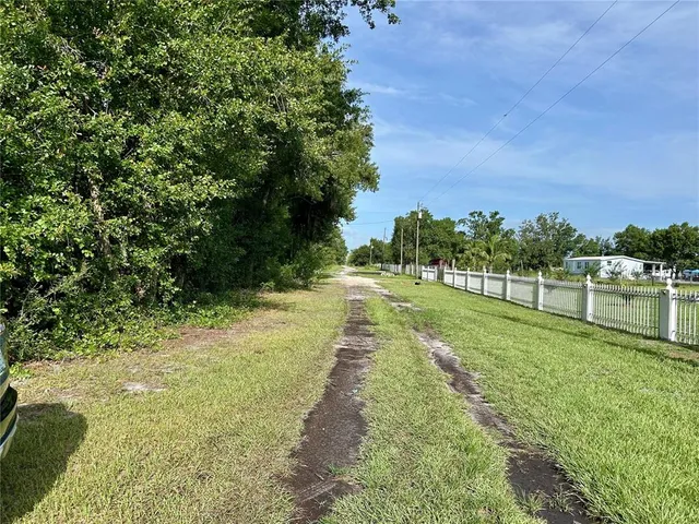 a view of a park with large trees