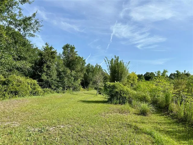 a view of a field with an trees