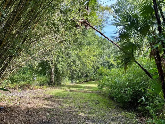 a view of outdoor space and yard