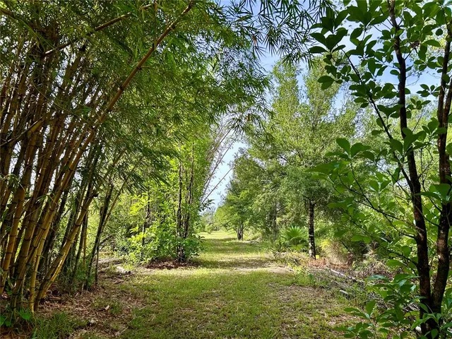 a view of outdoor space and yard