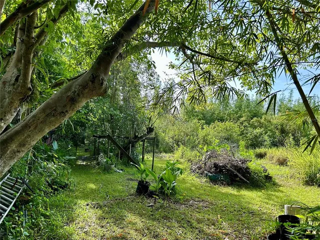 a view of yard with green space
