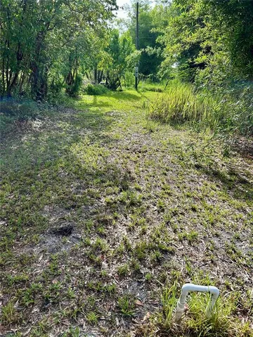 a view of a garden with a lake