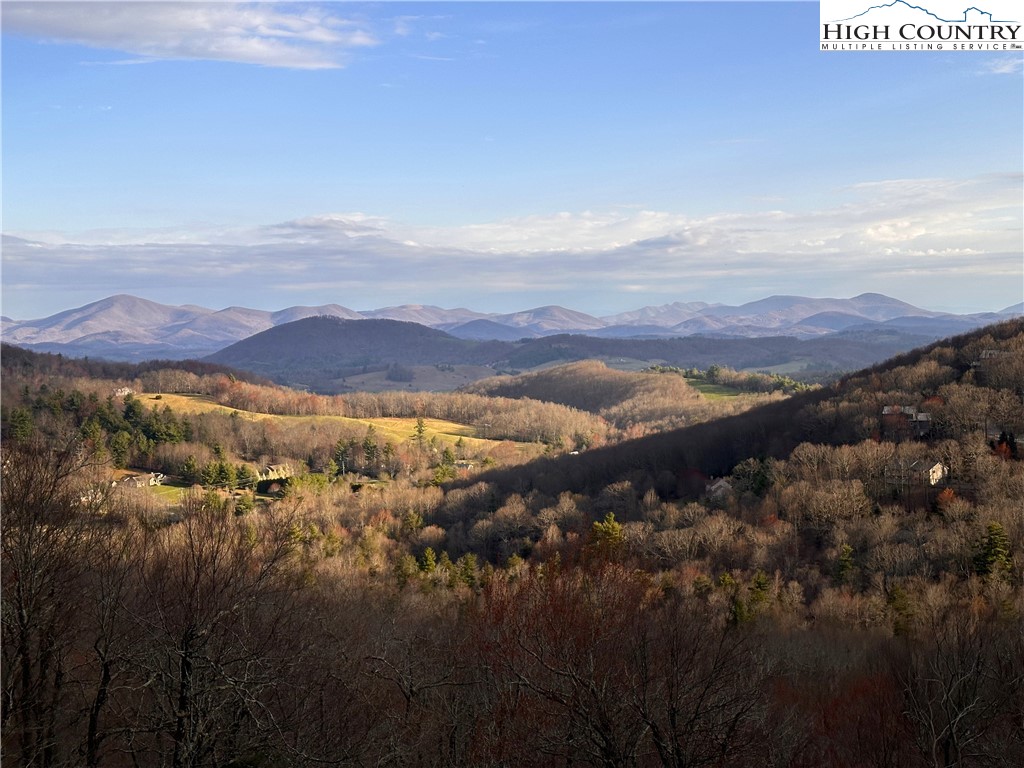 419 Antler Trail Boone, NC 28607 - Photo 23 of 50