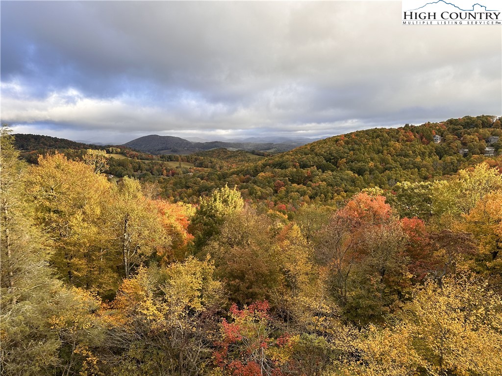 419 Antler Trail Boone, NC 28607 - Photo 48 of 50