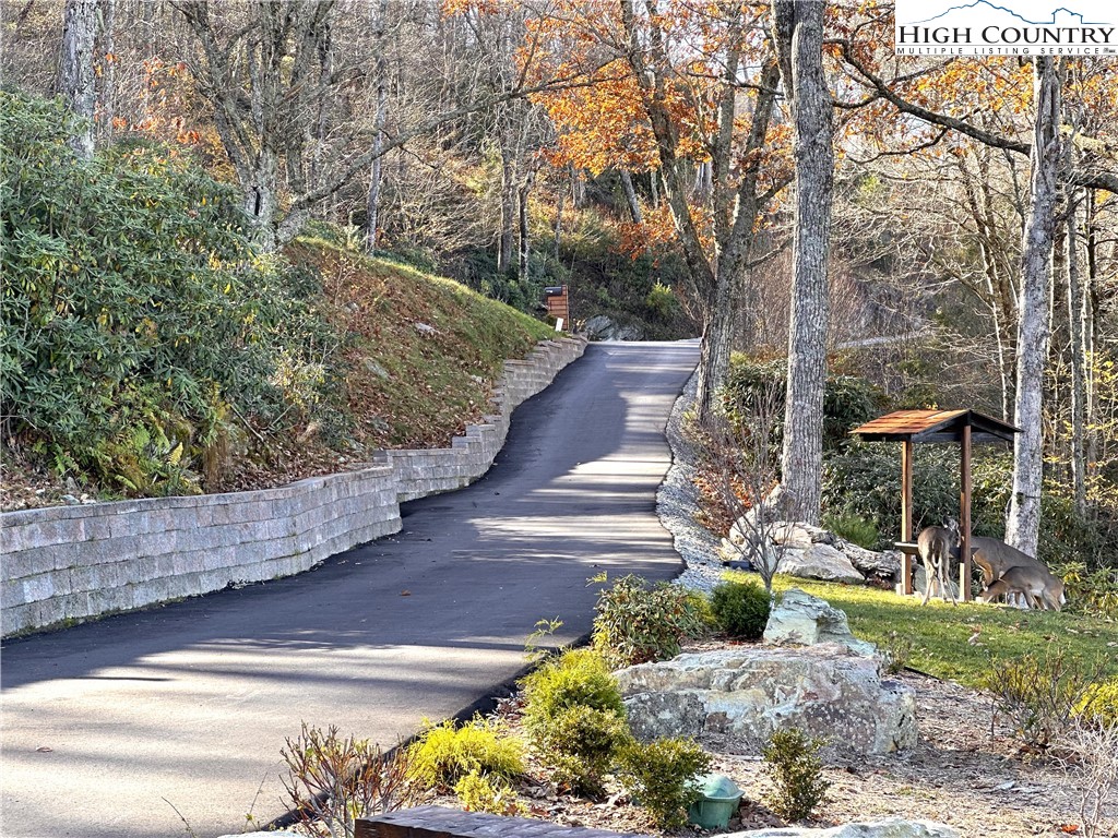 419 Antler Trail Boone, NC 28607 - Photo 5 of 50