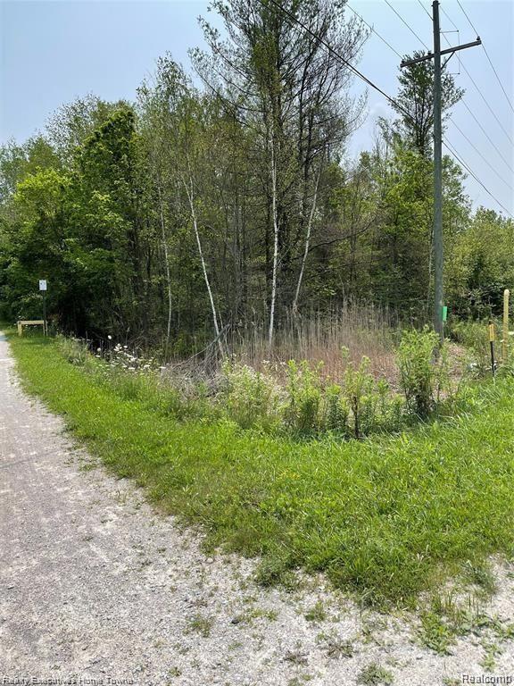 0 Rabidue Road North Street, MI 48049 - Photo 4 of 6