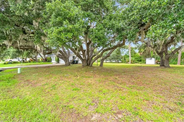 a view of outdoor space with trees