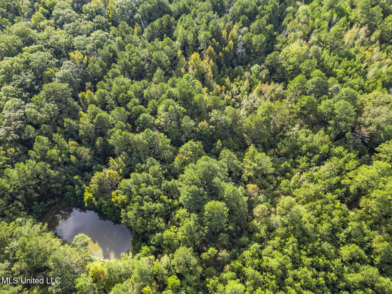 2049 Cleary Road Florence, MS 39073 - Photo 4 of 11 2049 Cleary drone-4