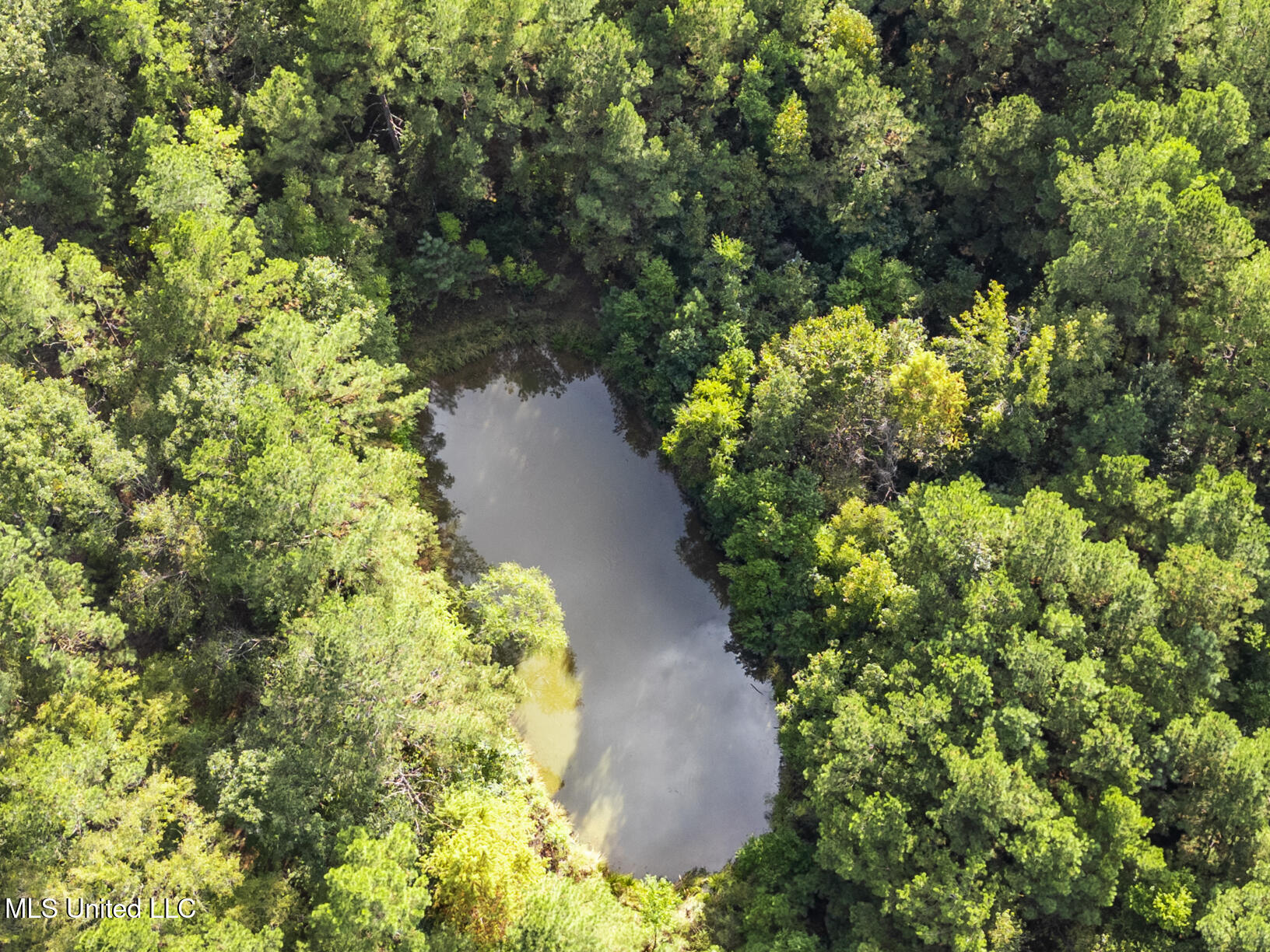 2049 Cleary Road Florence, MS 39073 - Photo 5 of 11 2049 Cleary drone-5