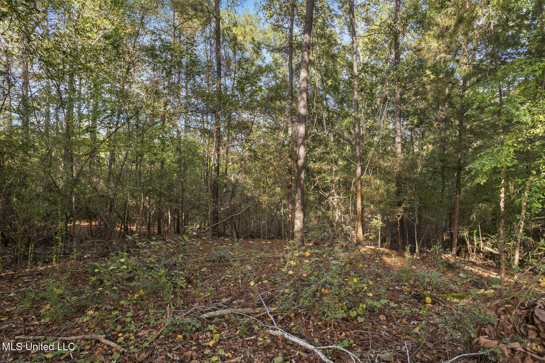 2049 Cleary Road Florence, MS 39073 - Photo 6 of 11 2049 Cleary Rd-20