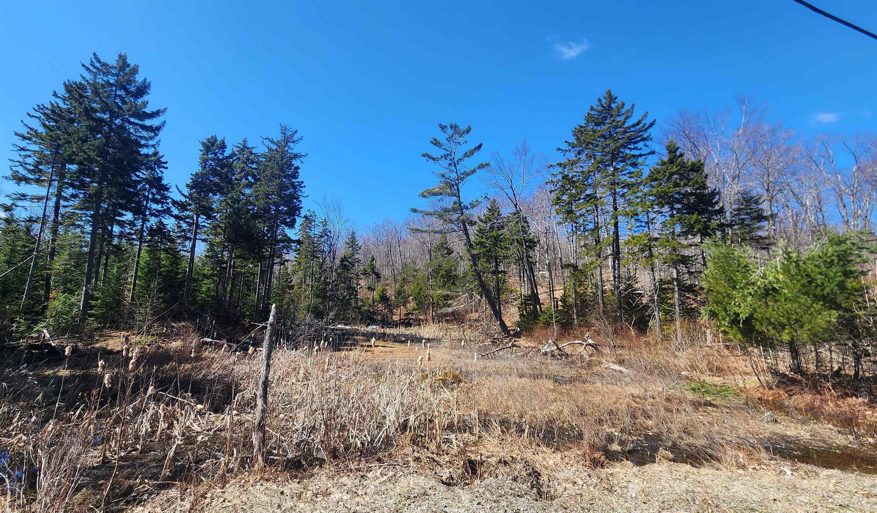 0 East Hill Road Andover, VT 05143 - Photo 11 of 11