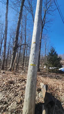 $85,000 | 0 East Hill Road, Andover, VT 05143