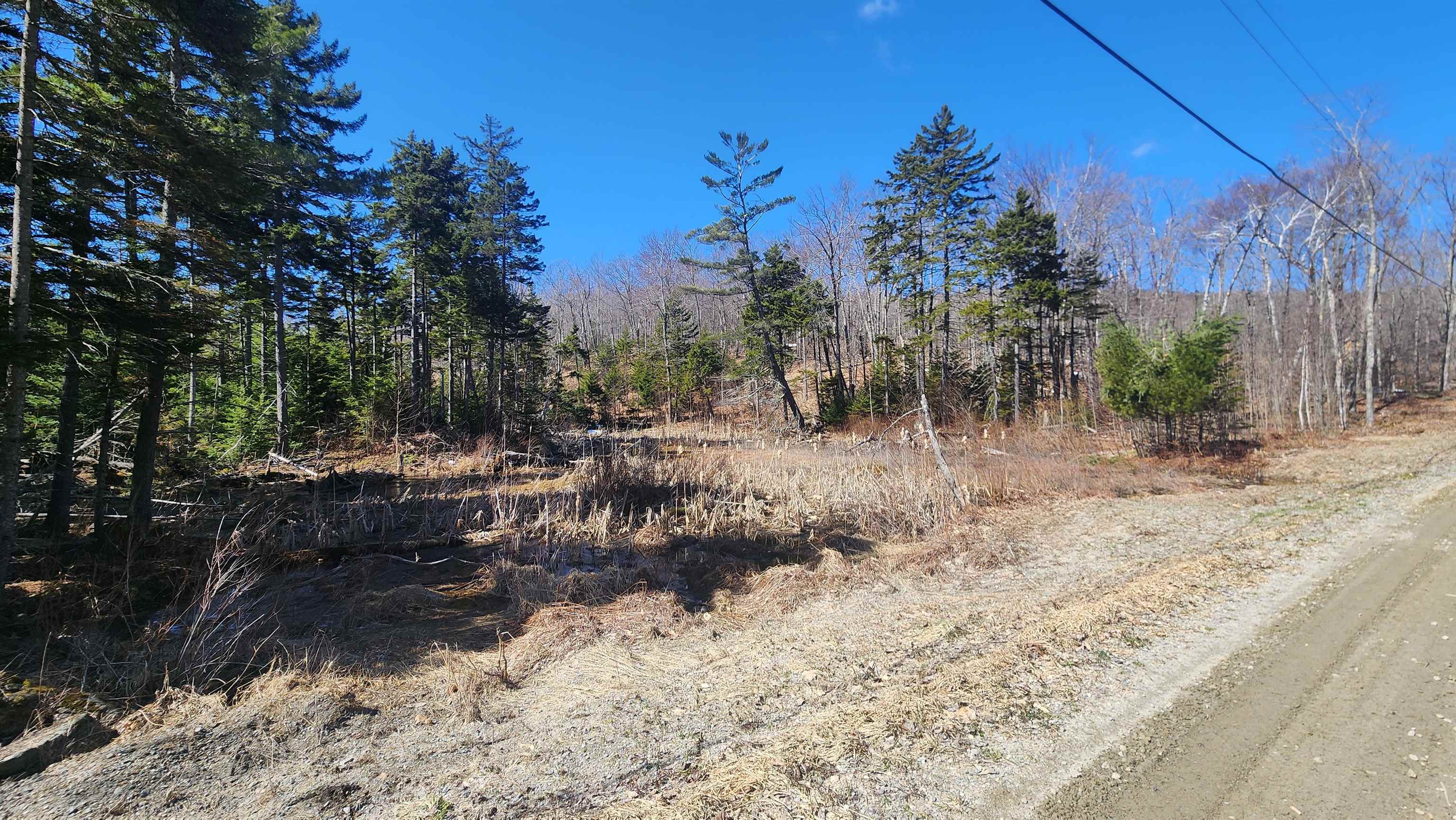 0 East Hill Road Andover, VT 05143 - Photo 10 of 11