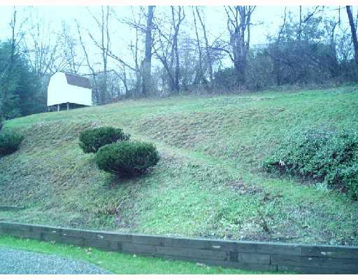 138 Klir Road Pittsburgh, PA 15209 - Photo 8 of 8 Yard/Garden.